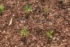 Image for May 19, 2017