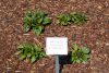 Image for May 15, 2026