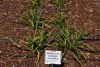 Image for May 15, 2026