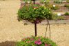 Image for June 12, 2026