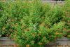Image for August 21, 2026