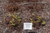 Image for August 7, 2026