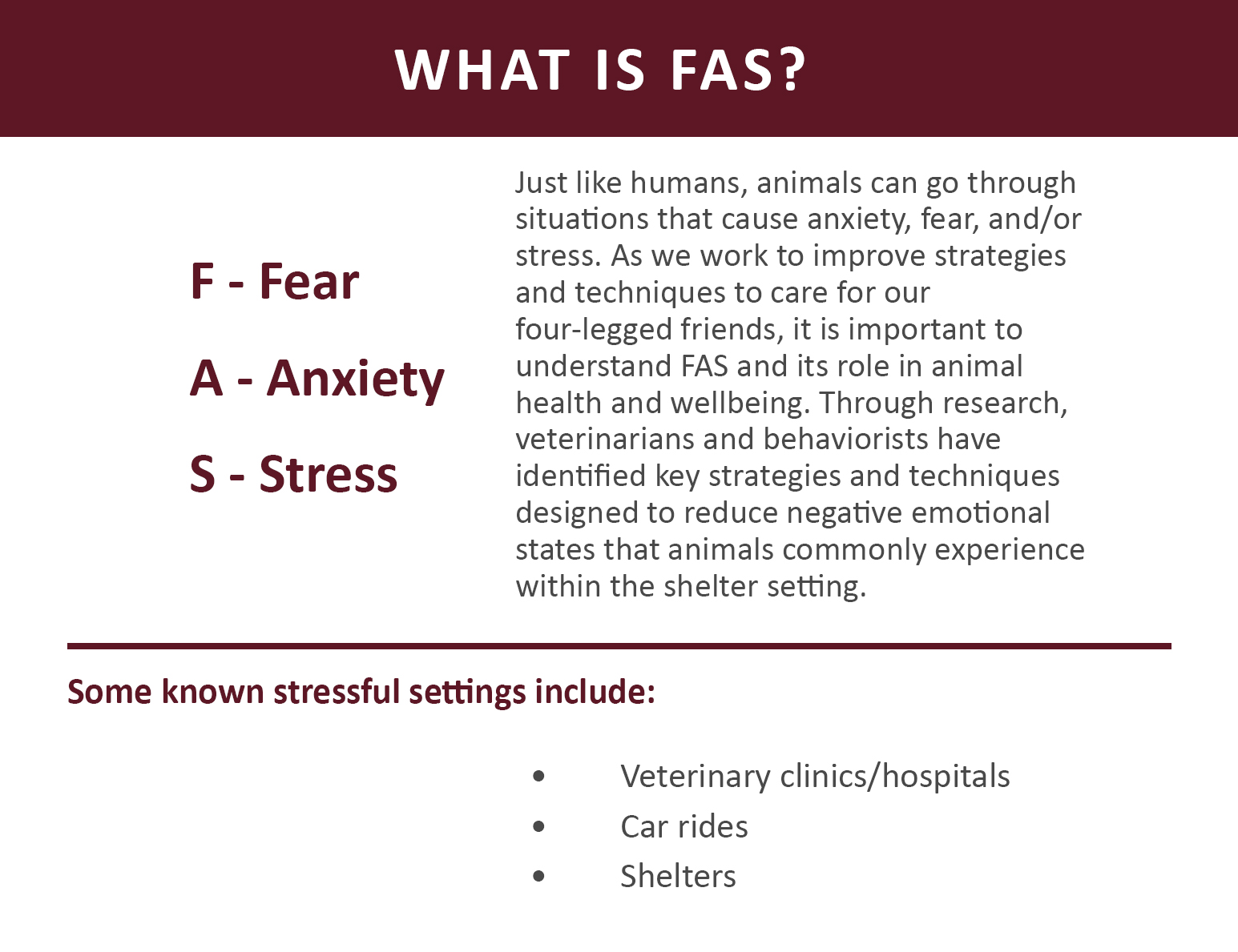 Understanding FAS (Fear, Anxiety, and Stress) in the Vet Clinic